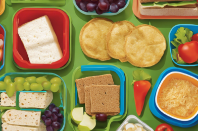 Kid-Approved Lunches: Packing a Nutritious School Meal